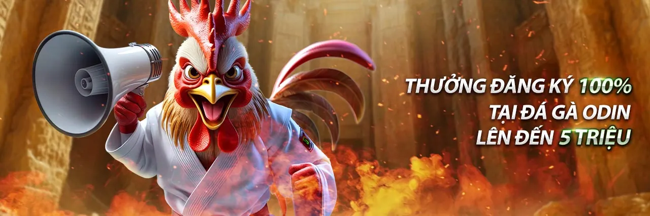 Mẹo và chiến thuật cá cược đá gà hiệu quả từ TV88